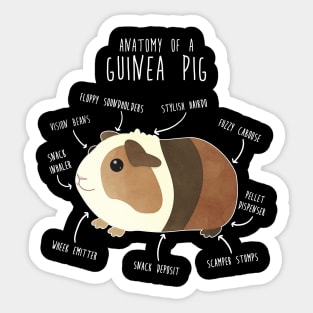 Anatomy of a Guinea Pig Sticker